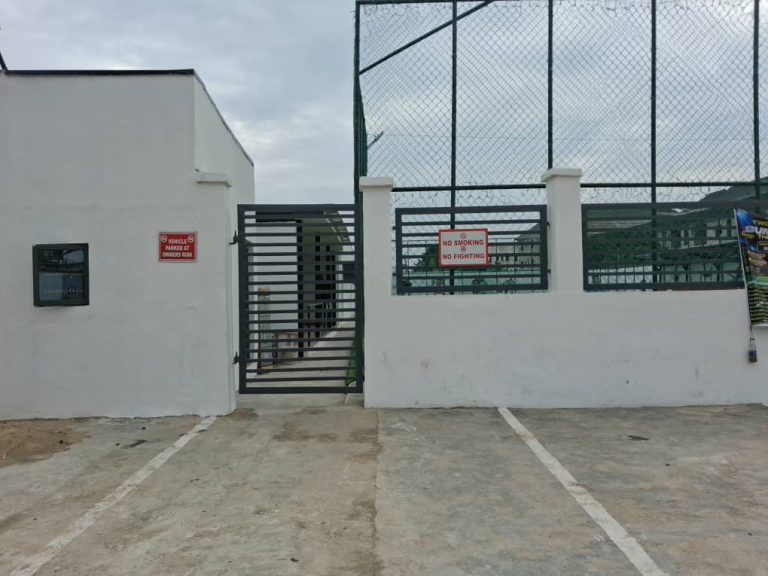 Temie's Arena