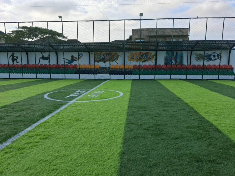 temies arena pitch